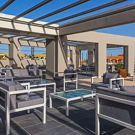 White Olive Premium Laganas