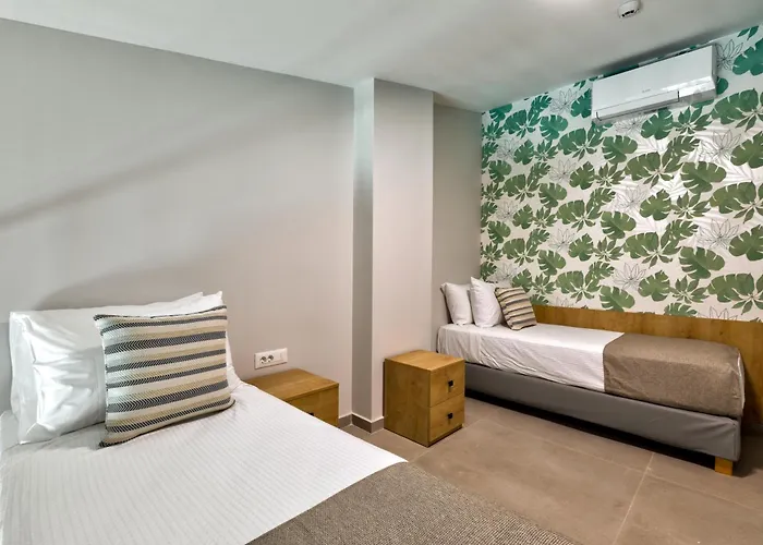 White Olive Premium 4*