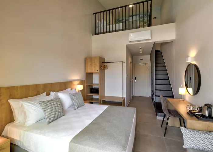 White Olive Premium Laganas