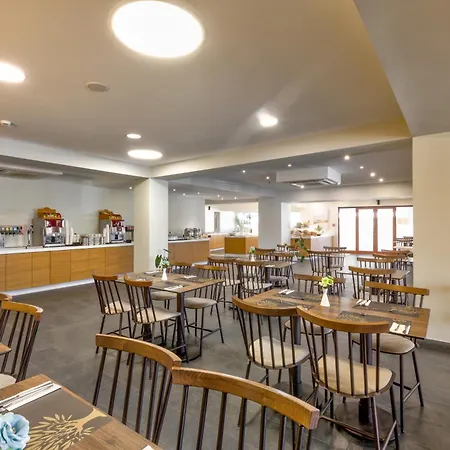 White Olive Premium 4*